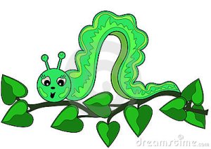 green-caterpillar-branch-leaves-19229956